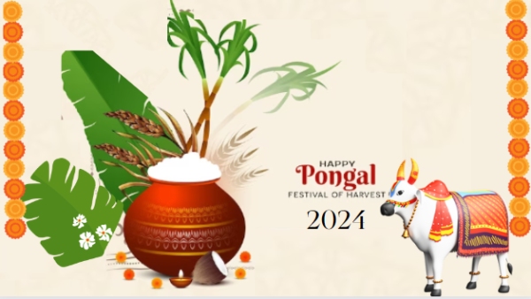 Pongal 2024: Auspicious Things You Should Donate On Pongal in Tamil