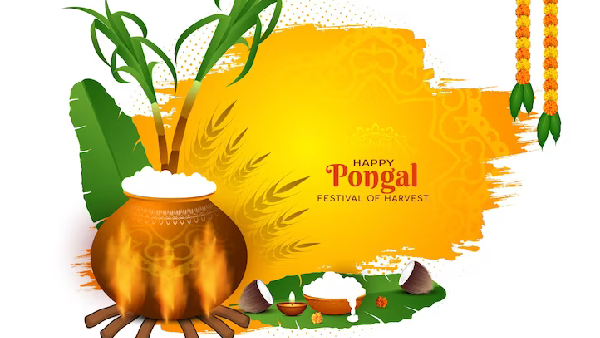 Pongal 2024: Date & Types and What Are The 4 Days Of PongalCalledinTamil