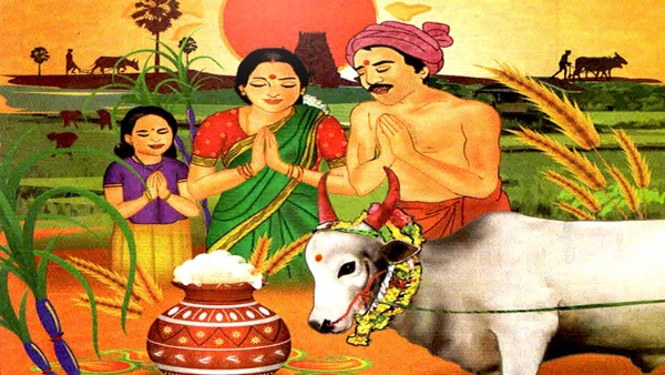 Pongal 2024: Do’s And Don’t To Keep In Mind On This Auspicious Day in Tamil