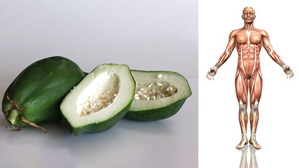 Reasons to add Raw Papaya to the daily diet in tamil 