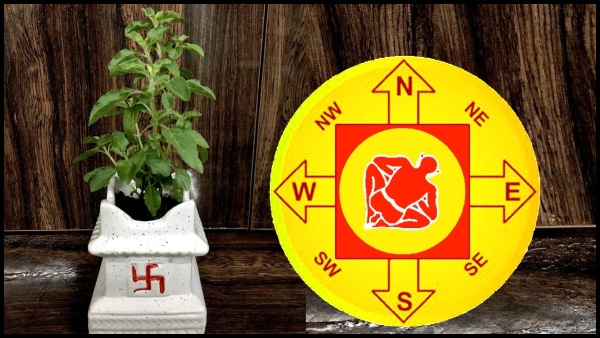 Vastu Rules: Never Do These Mistakes If You Have A Tulsi Plant At Home