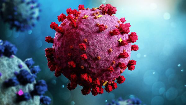 Zombie Virus Which Is In Arctic Could Spark Deadly Pandemic in Tamil