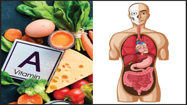 Vitamin A rich foods that are essential for winter diet in tamil 