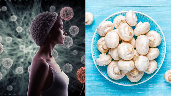 Why cancer patients are advised to eat mushrooms in tamil 