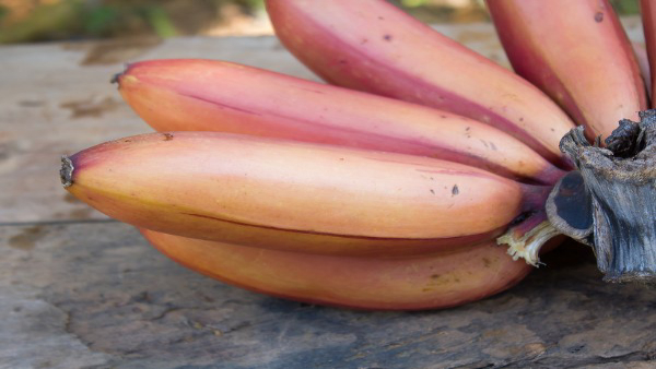 Sevvalai Banana Benefits: Health Benefits of Red Banana in Tamil