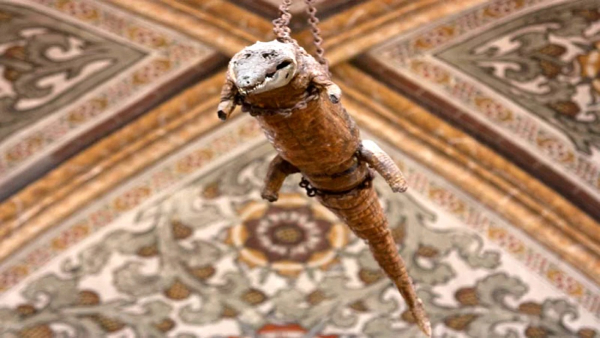 500 Year Old Crocodile Hanging From the Ceiling in Italy Church 
