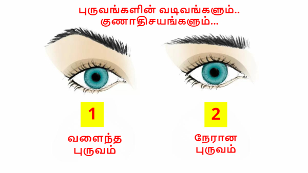 Personality Test: Eyebrow Shape Reveals Your Interesting Personality In Tamil Personality Test: Eyebrow Shape Reveals Your Interesting Personality In Tamil