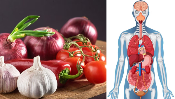 essential kitchen ingredients that promote good health in tamil essential kitchen ingredients that promote good health in tamil