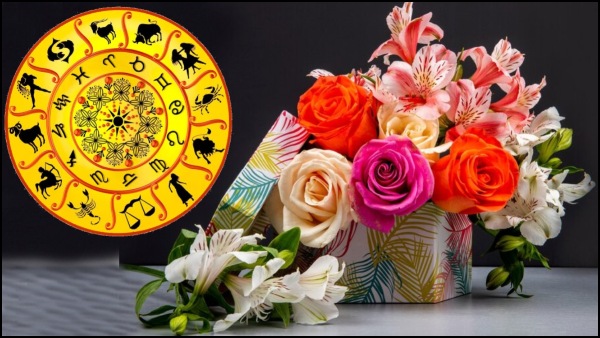 Rose Day 2024: Perfect Rose For Your Partner According to Their Zodiac Sign In Tamil