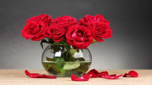 Rose Day: Interesting Facts About Roses in Tamil Rose Day: Interesting Facts About Roses in Tamil