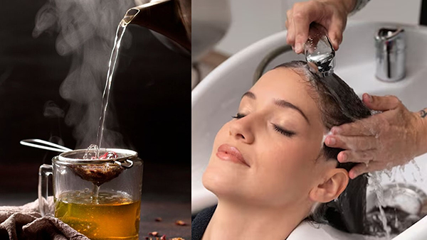 How to wash your hair with tea water to stop hair fall in tamil 