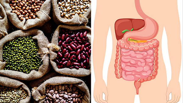 Eating these Dals (Pulses) can increase Uric acid levels in tamil
