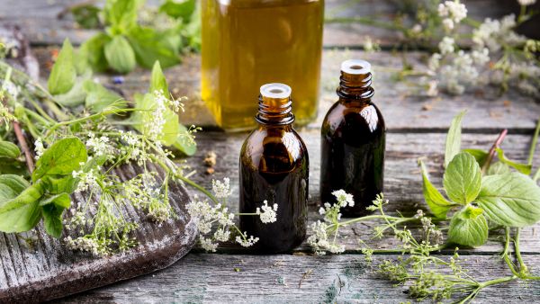 Hair Care Tips Herbs That Can Help with Hair Growth by Ayurveda in Tamil