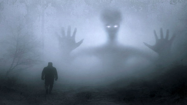 Dangerous Forests in the World in Tamil