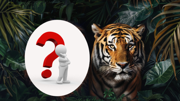 Why Tiger Is National Animal Of India Instead of Lion in Tamil