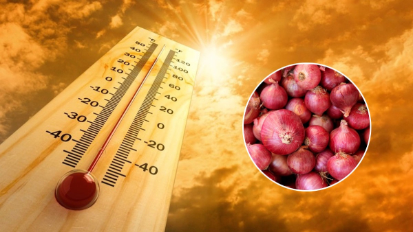 Benefits Of Eating Onions During Summer in Tamil