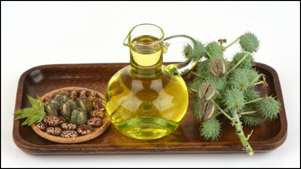 Castor Oil Benefits In Tamil What Happens When You Consume Castor Oil