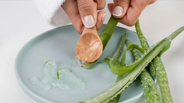 Hair Care Tips Powerful Herbs That Prevent Hair Loss and Improve Hair Growth in Tamil