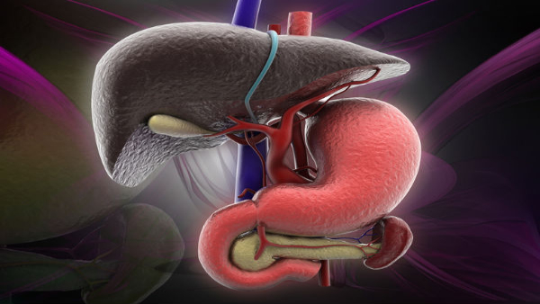 Foods That Keep Liver Healthy During The Summers in Tamil