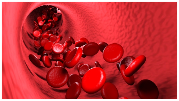 what foods increase iron content and haemoglobin rate in body