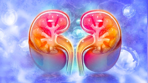 How Many Glasses of Water You Should Drink To Keep Your Kidneys Healthy in Tamil