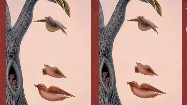 Optical Illusion What You See First In This Picture Will Reveal What You Truly Desire In Life Optical Illusion What You See First In This Picture Will Reveal What You Truly Desire In Life