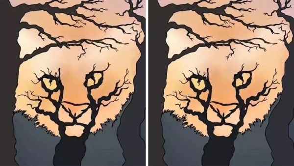 Optical Illusion Personality Test What You See First Will Tell Your Hidden Personality