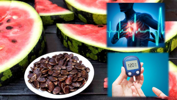 Watermelon Seeds Top 10 Benefits Of Eating Watermelon Seeds On Empty Stomach In Tamil