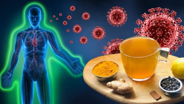 International Tea Day 2024 Top 5 Best Tea Types For Better Digestion And Immunity International Tea Day 2024 Top 5 Best Tea Types For Better Digestion And Immunity