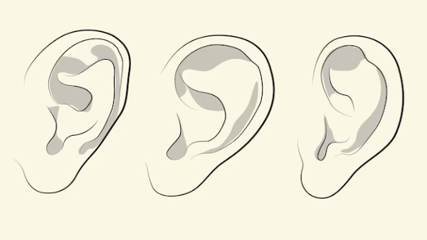 Personality Test What Does Your Ear Shape Says About You in Tamil
