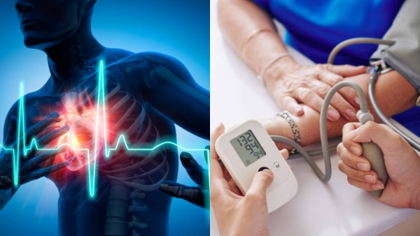 World Hypertension Day 2024 Top 5 Fruits To Eat To Control High Blood Pressure In Tamil