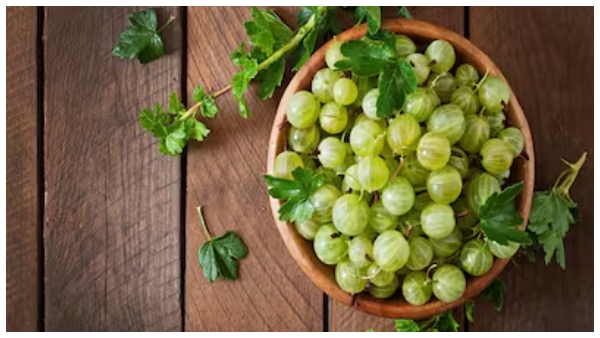 indian gooseberry or amla in summers 5 reasons why you should have it everyday indian gooseberry or amla in summers 5 reasons why you should have it everyday