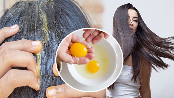Hair Care Tips Side Effect Of Applying Egg On Hair in Tamil