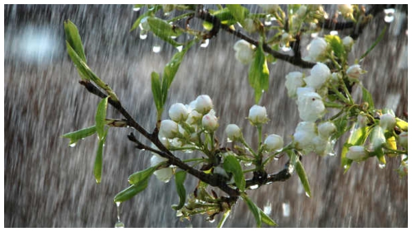 how to protect kids from summer rain