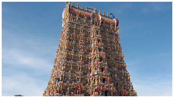 significance kanchi golden silver lizard