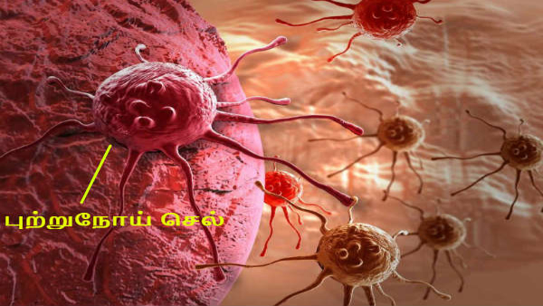 Cancer and Obesity 40 of Cancers Are Linked to Obesity Cancer and Obesity 40 of Cancers Are Linked to Obesity