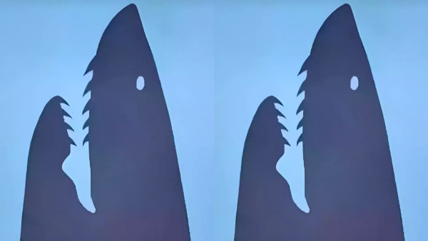 Optical Illusion What You See First In This Pic Will Tell You Are Strong Or Weak Optical Illusion What You See First In This Pic Will Tell You Are Strong Or Weak