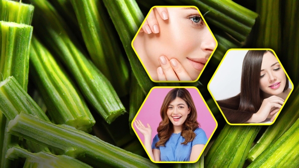 Benefits of Drumstick for Skin and Hair in Tamil