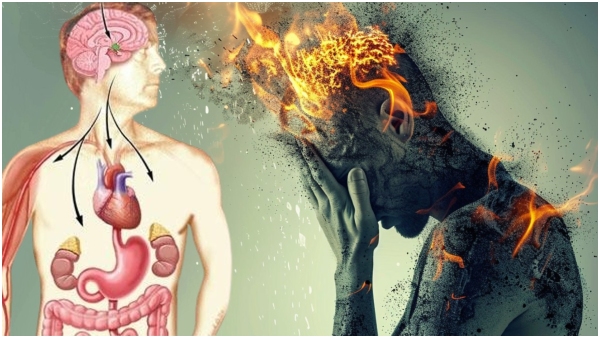 Stress How Stress Affect Different Parts of the Body Stress How Stress Affect Different Parts of the Body