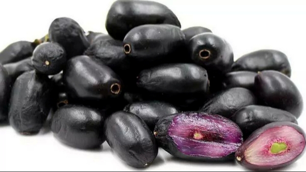Health Benefits of Jamun Fruit in Tamil