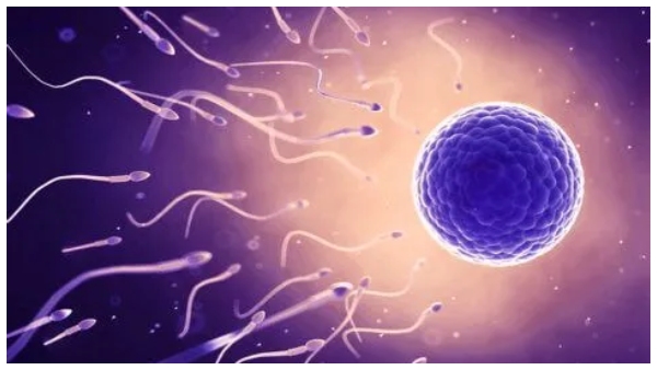 these are the reasons for infertility problems for male and female