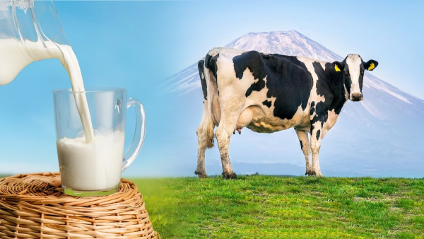 Ways To Use Milk Beyond Drinking in Tamil