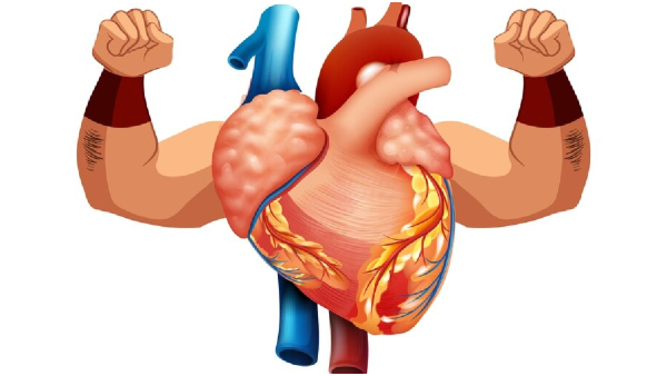 Top 5 Healthy Breakfast To Improve Heart Health During Monsoon In Tamil