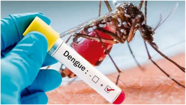 Dengue Cases Rise In Bangalore Diet Tips For Dengue For Fast Recovery