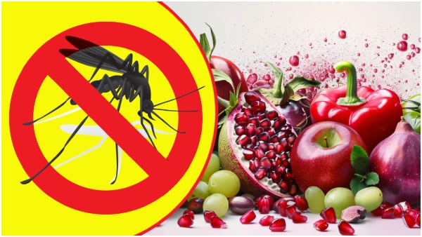 Dengue Fever Surge Eat These foods To Prevent Hypoxemia Caused By Dengue Fever In Tamil