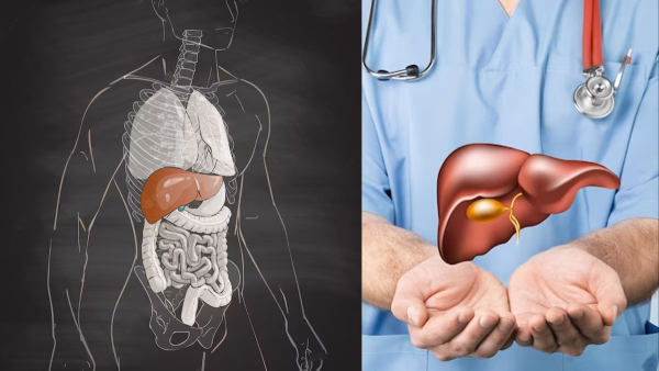 Fatty Liver Diet Foods That Can Reverse Fatty Liver in Tamil Fatty Liver Diet Foods That Can Reverse Fatty Liver in Tamil