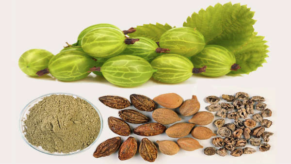 Liver Health Ayurvedic Herbs And Foods To Treat Fatty Liver