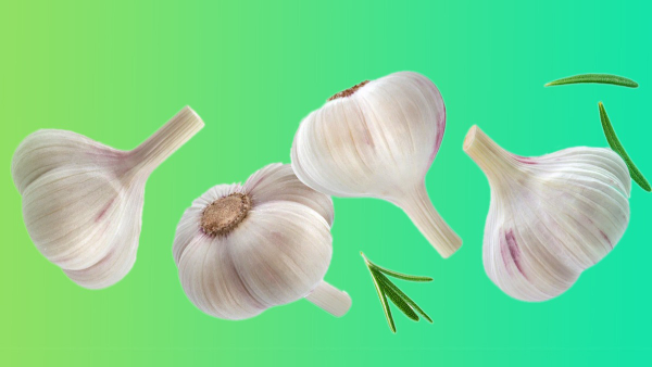 How to Use the Garlic in the Right Way in Cooking