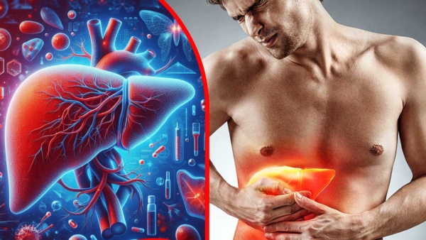 Liver Health Ayurvedic Herbs And Foods To Treat Fatty Liver