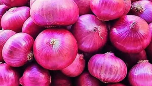 How to Store Onions to Keep Them Fresh
